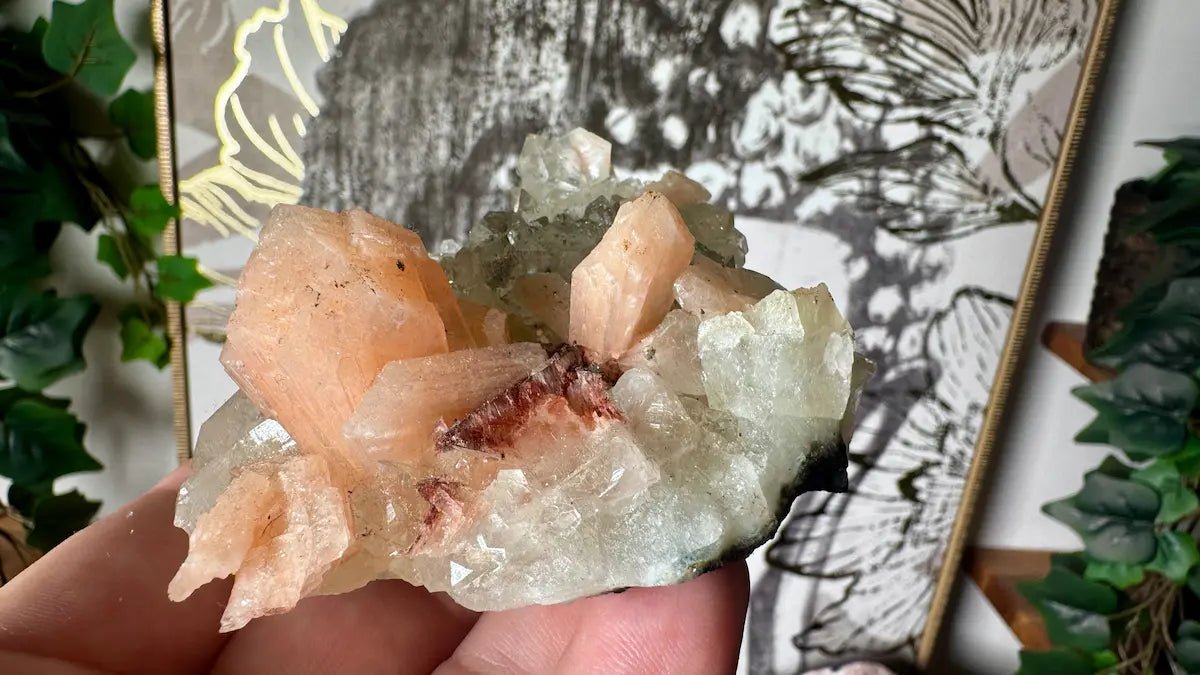 The Ultimate Guide to Apophyllite: Meaning, Healing Properties, and Varieties - Crystals & Reiki