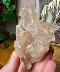 Super Rare Himalayan Elestial Ice Quartz Cluster - Crystals & Reiki