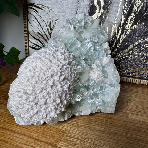 Rare Green Apophyllite with Mordenite Cluster - Crystals & Reiki