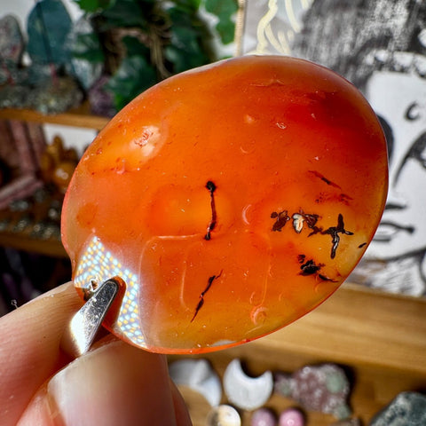 Large Carnelian Pendant with 925 Sterling Silver - Crystals & Reiki