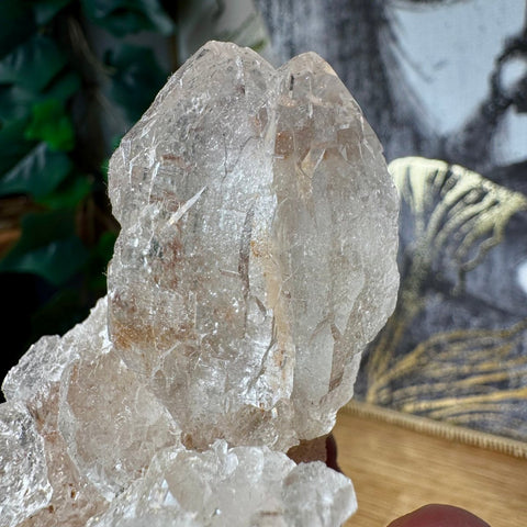 Super Rare Himalayan Elestial Ice Quartz Cluster - Crystals & Reiki
