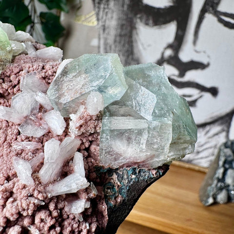 Green Tint Apophyllite with Calcite on Chocolate Chalcedony - Crystals & Reiki