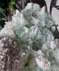 Rare Green Apophyllite with Mordenite Cluster - Crystals & Reiki
