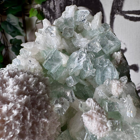 Rare Green Apophyllite with Mordenite Cluster - Crystals & Reiki