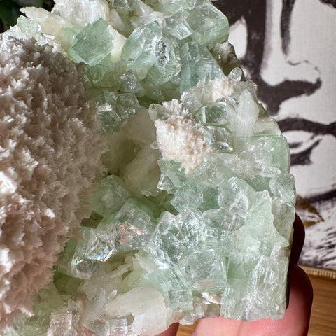 Rare Green Apophyllite with Mordenite Cluster