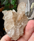Super Rare Himalayan Elestial Ice Quartz Cluster - Crystals & Reiki