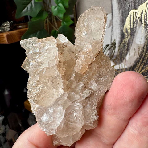 Super Rare Himalayan Elestial Ice Quartz Cluster - Crystals & Reiki