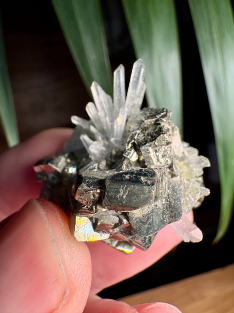 Striated Pyrite with Needle Quartz, Limonite & Chlorite - Crystals & Reiki