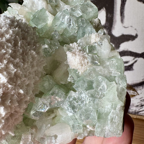 Rare Green Apophyllite with Mordenite Cluster - Crystals & Reiki
