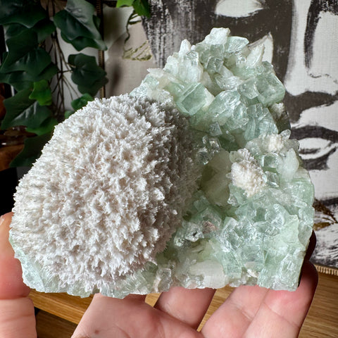 Rare Green Apophyllite with Mordenite Cluster