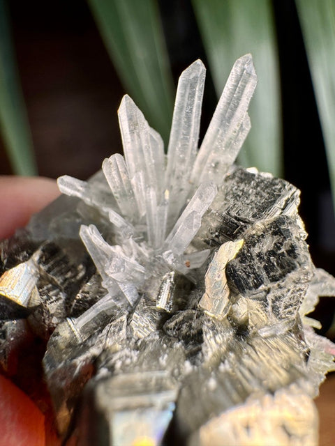 Striated Pyrite with Needle Quartz, Limonite & Chlorite - Crystals & Reiki