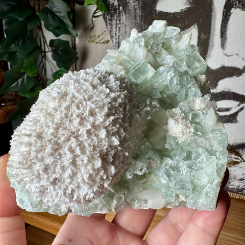 Rare Green Apophyllite with Mordenite Cluster - Crystals & Reiki