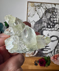 Apophyllite on Black Chalcedony Cluster – Clarity & Grounded Light - Crystals & Reiki