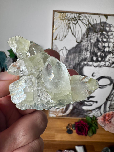 Apophyllite on Black Chalcedony Cluster – Clarity & Grounded Light - Crystals & Reiki