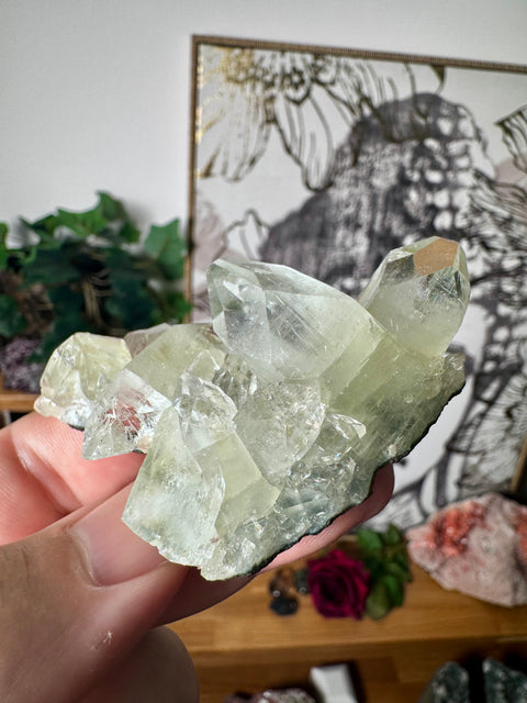 Apophyllite on Black Chalcedony Cluster – Clarity & Grounded Light - Crystals & Reiki