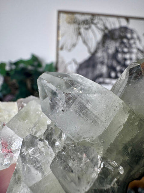 Apophyllite on Black Chalcedony Cluster – Clarity & Grounded Light - Crystals & Reiki