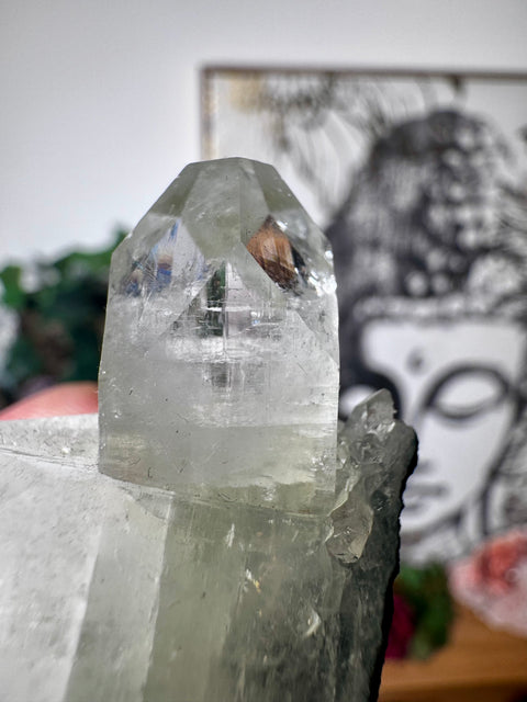 Apophyllite on Black Chalcedony Cluster – Clarity & Grounded Light - Crystals & Reiki