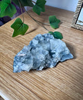 Apophyllite on Black Chalcedony Cluster – Light Anchored in Protection - Crystals & Reiki