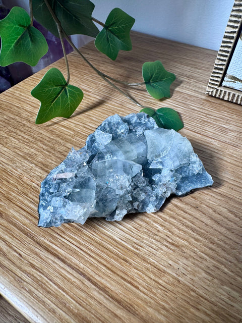 Apophyllite on Black Chalcedony Cluster – Light Anchored in Protection - Crystals & Reiki