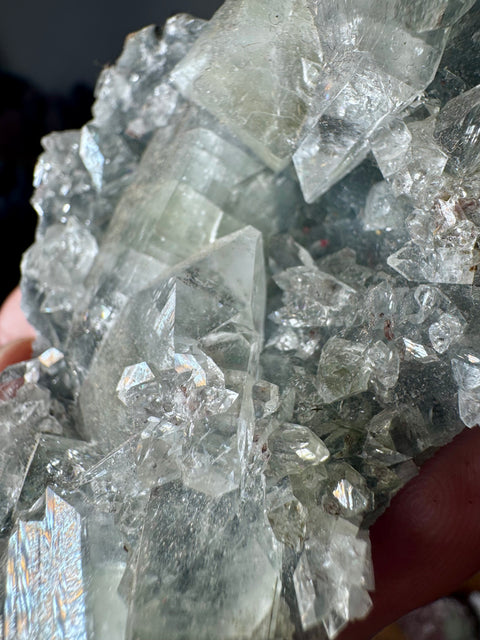 Apophyllite on Black Chalcedony Cluster – Light Anchored in Protection - Crystals & Reiki