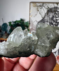 Apophyllite on Black Chalcedony Cluster – Light Anchored in Stone - Crystals & Reiki