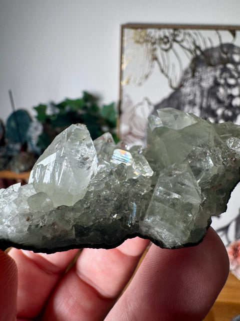 Apophyllite on Black Chalcedony Cluster – Light Anchored in Stone - Crystals & Reiki