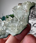 Apophyllite on Black Chalcedony Cluster – Light Anchored in Stone - Crystals & Reiki