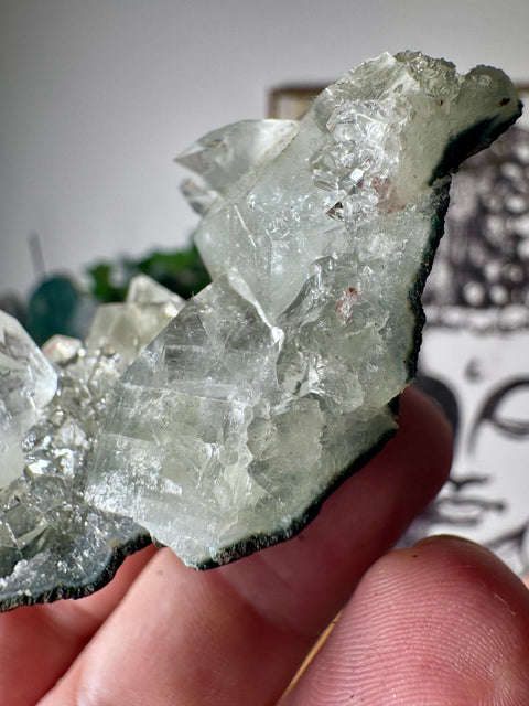 Apophyllite on Black Chalcedony Cluster – Light Anchored in Stone - Crystals & Reiki