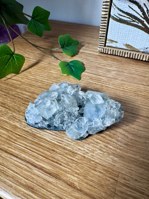 Apophyllite on Black Chalcedony Cluster – Light Anchored in Stone - Crystals & Reiki