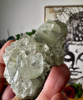 Apophyllite on Black Chalcedony Cluster – Light Anchored in Stone - Crystals & Reiki
