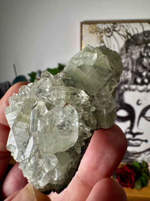 Apophyllite on Black Chalcedony Cluster – Light Anchored in Stone - Crystals & Reiki