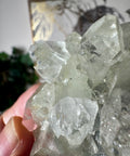 Apophyllite on Black Chalcedony Cluster – Protective Light - Crystals & Reiki