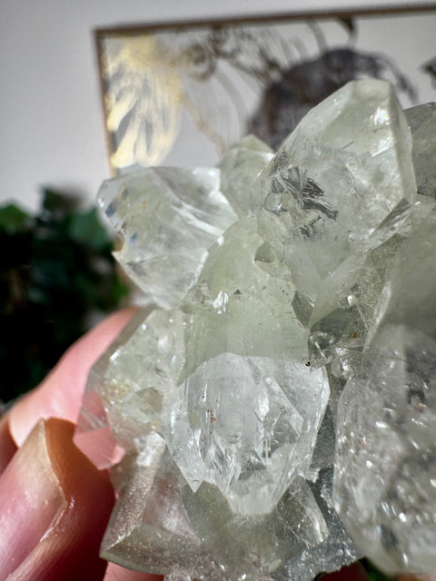 Apophyllite on Black Chalcedony Cluster – Protective Light - Crystals & Reiki