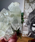 Apophyllite on Black Chalcedony Cluster – Protective Light - Crystals & Reiki