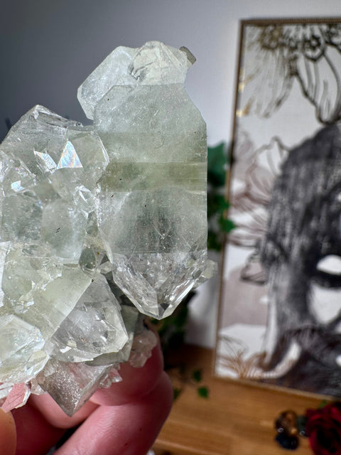 Apophyllite on Black Chalcedony Cluster – Protective Light - Crystals & Reiki