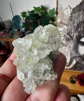 Apophyllite on Black Chalcedony Cluster – Protective Light - Crystals & Reiki