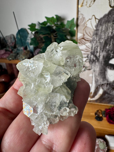 Apophyllite on Black Chalcedony Cluster – Protective Light - Crystals & Reiki