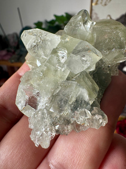 Apophyllite on Black Chalcedony Cluster – Protective Light - Crystals & Reiki