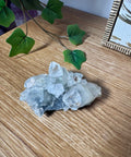 Apophyllite on Black Chalcedony Cluster – Protective Light - Crystals & Reiki