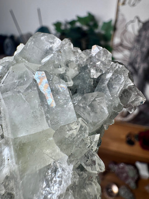 Apophyllite on Black Chalcedony Cluster – Spiritual Light with Grounded Strength - Crystals & Reiki