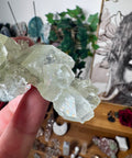 Apophyllite on Black Chalcedony Cluster – Spiritual Light with Grounded Strength - Crystals & Reiki
