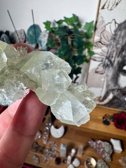 Apophyllite on Black Chalcedony Cluster – Spiritual Light with Grounded Strength - Crystals & Reiki