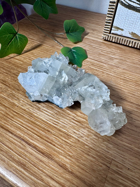 Apophyllite on Black Chalcedony Cluster – Spiritual Light with Grounded Strength - Crystals & Reiki