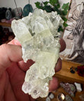 Apophyllite on Black Chalcedony Cluster – Spiritual Light with Grounded Strength - Crystals & Reiki