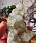 Apophyllite on Black Chalcedony with Peach Stilbite – Clarity & Gentle Love - Crystals & Reiki