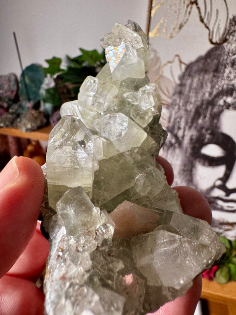 Apophyllite on Black Chalcedony with Peach Stilbite – Clarity & Gentle Love - Crystals & Reiki