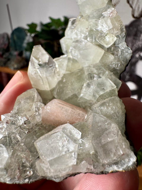 Apophyllite on Black Chalcedony with Peach Stilbite – Clarity & Gentle Love - Crystals & Reiki