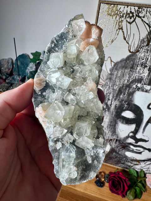 Apophyllite on Black Chalcedony with Peach Stilbite – Heart-Centred Divine Light - Crystals & Reiki