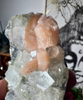 Apophyllite on Black Chalcedony with Peach Stilbite – Heart-Centred Divine Light - Crystals & Reiki