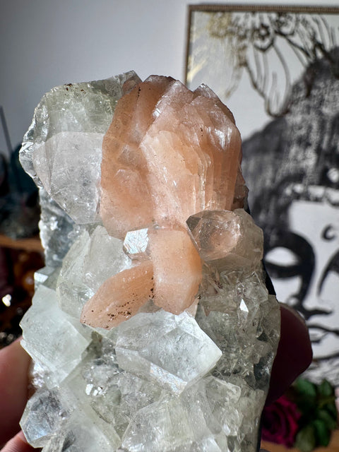 Apophyllite on Black Chalcedony with Peach Stilbite – Heart-Centred Divine Light - Crystals & Reiki